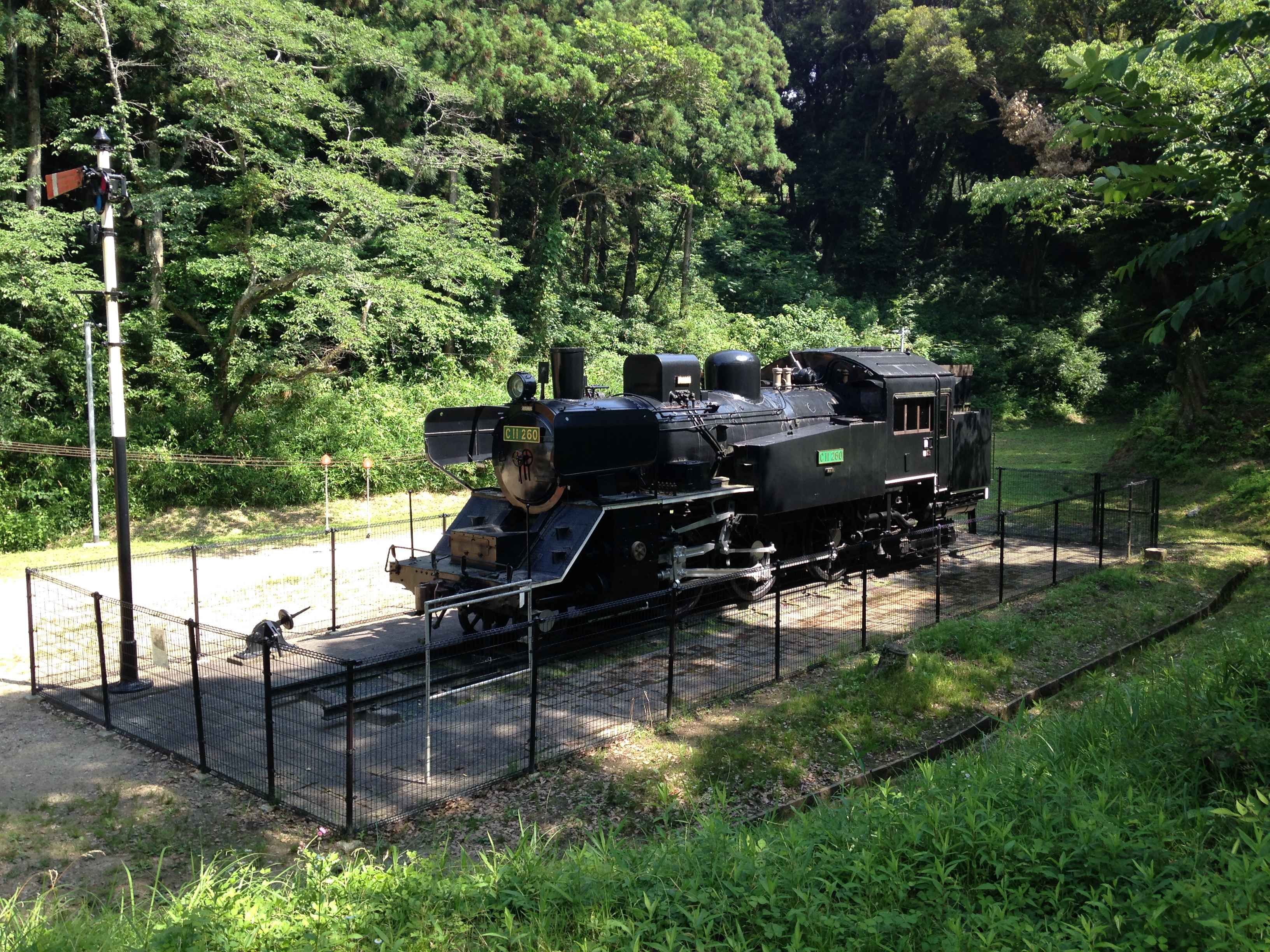 🌳 하부 공원(하부 코엔) 이미지 8